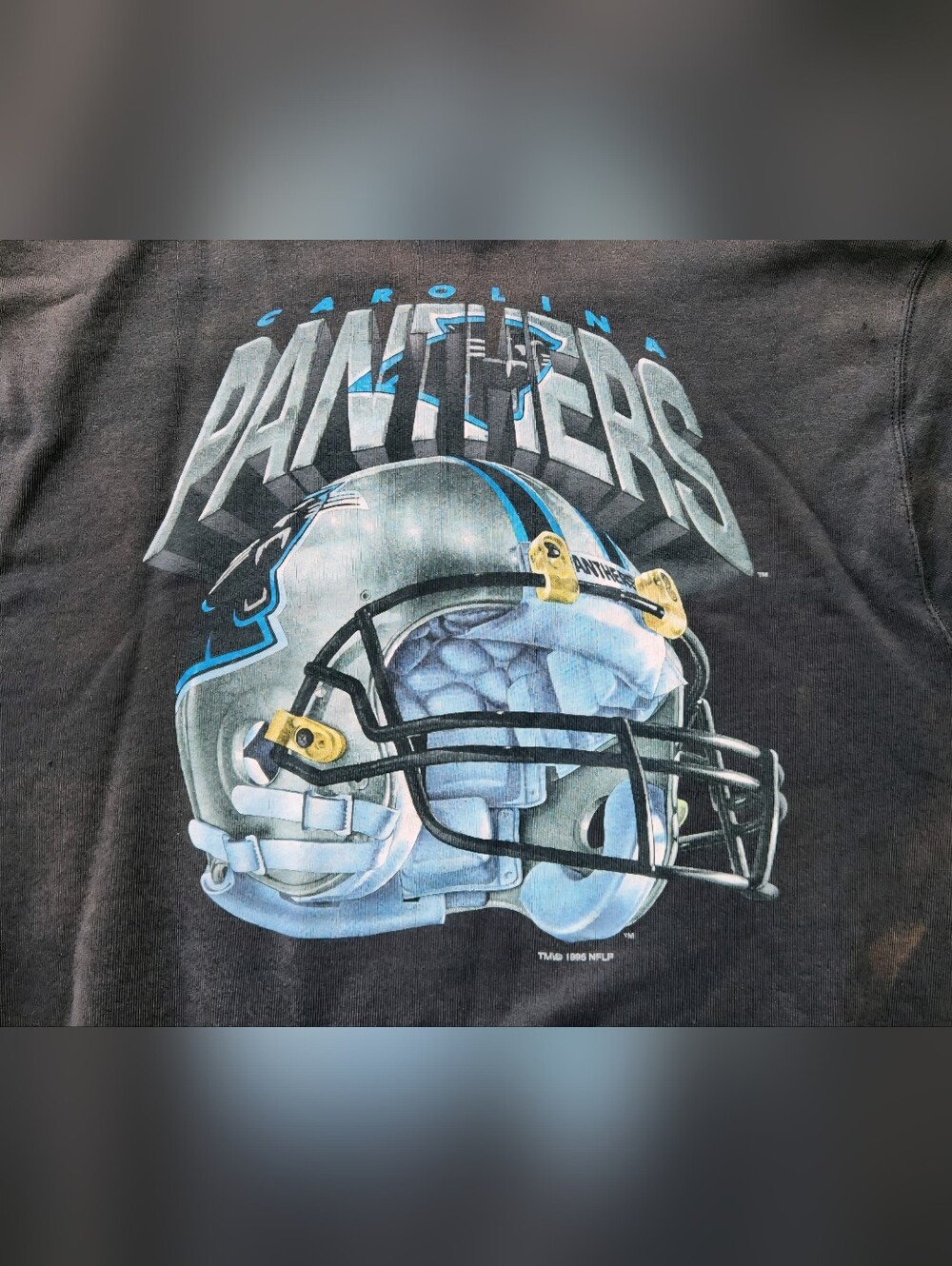 Vintage 90s Carolina Panthers Sweatshirt